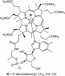 витамин B9